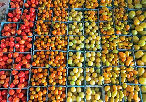 CherryTomatoes