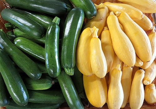 LocallyGrownZucchini
