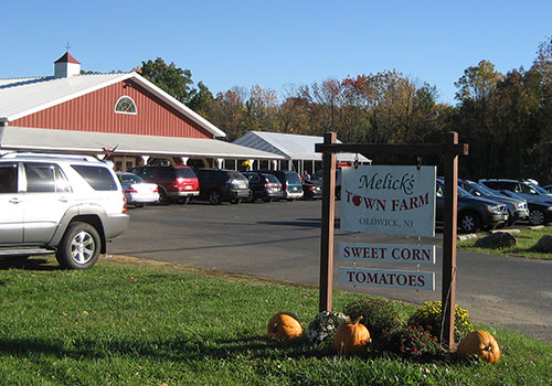 Oldwick Farm Market - Melick's U-Pick
