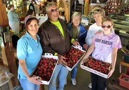 PickYourOwnStrawberries3