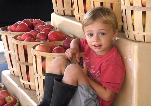 PrePickedFarmFreshApples