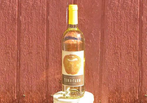 apple-wine-002